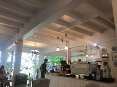 -Fern Forest Cafe