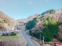 -伊豆观海列车