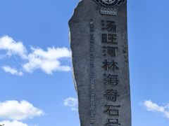-汤旺河林海奇石景区
