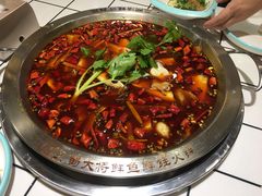 -蛙一刀·麻椒鱼火锅(金仙桥店)