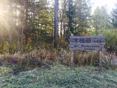 -长白山天域度假酒店