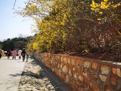 -北京西山国家森林公园