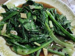 -东鸽皇(奥园·中环广场店)