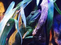 -上海海洋水族馆