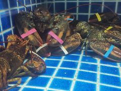 -徐记海鲜(梅溪新天地店)