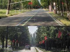 -黄海国家森林公园