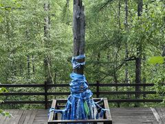 -莫尔道嘎国家森林公园