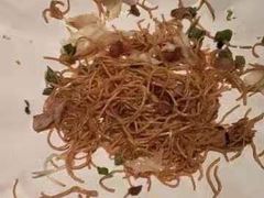 -老伙记海鲜码头(北滘店)