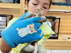 -上海大自然野生昆虫馆(东方明珠·爬宠昆虫探索中心)