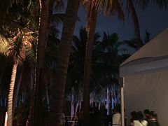 -欢乐海岸椰林沙滩-2025湾区超级灯会