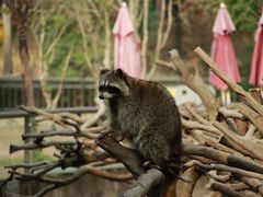 -宁波野生动物园