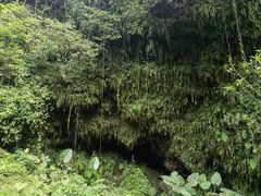 -海口火山口国家地质公园