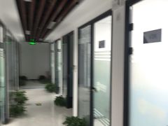 -新航道雅思托福·留学·考研培训(人民广场校区)