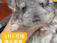 -龙猫仔乐园(惠福东路店)