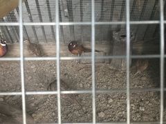 -爱德堡西餐咖啡吧(北师大店)