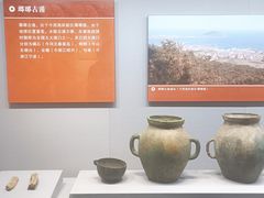 -青岛市博物馆