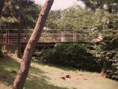 -台场海滨公园船码头