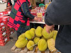 -双福水果批发市场