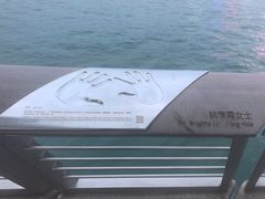 -星光大道