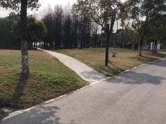 -上海都市菜园