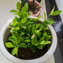 -爱尔乐美孕产瑜伽·普拉提