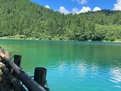 -武陵山森林公园
