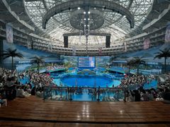 -海合安成都极地海洋公园