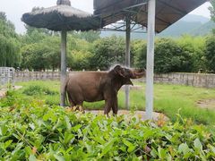-西安秦岭野生动物园