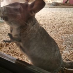 点击看大图 -酷嗒动物文化乐园(cutezoo西溪乐天城店)