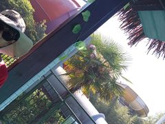 -上海玛雅海滩水公园