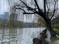 -运河游船(武林门码头)