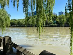 -运河游船(武林门码头)