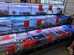 水产区-金海湾海鲜排档(朱家尖店)