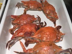 -宁波石浦豪生大酒店·自助餐厅