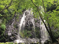 -望天鹅景区