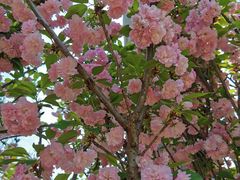 -观澜湖生态运动公社