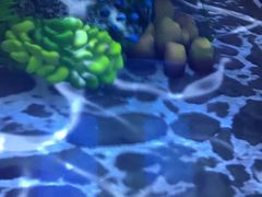 -珠海横琴国家地理探险家中心(创新方)