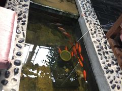 -丽江庭院之爱在路上(西单店)