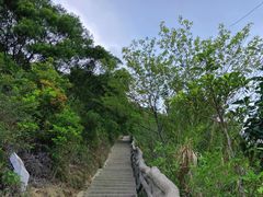 -梧桐山风景名胜区
