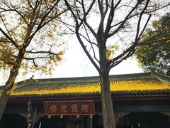 -龙抄手(文殊坊店)