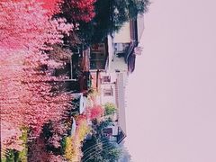 -玫瑰庄园·自助烧烤·烤全羊·团建拓展(龙泉山店)