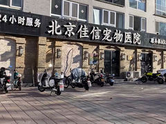 -北京佳信宠物医院