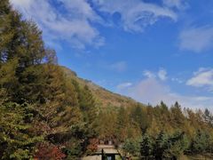 -龙道沟景区