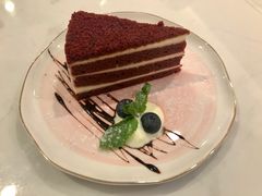 -飞行喵MR PILOT|猫舍·猫咖(静安大融城店)