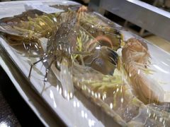 -海大大蒸汽海鲜餐厅·粤菜·特色小炒(欢乐颂店)