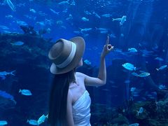 -海合安成都极地海洋公园