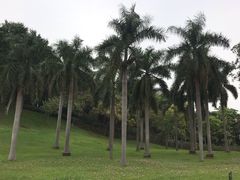 -广州市白云山风景名胜区