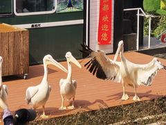 -乐和乐都主题乐园