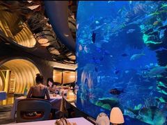 -迪拜帆船酒店海底餐厅