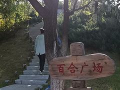 -莫子山公园